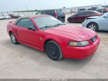  Salvage Ford Mustang