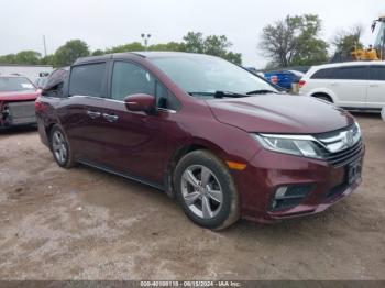  Salvage Honda Odyssey