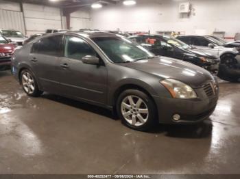  Salvage Nissan Maxima