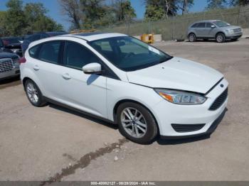  Salvage Ford Focus