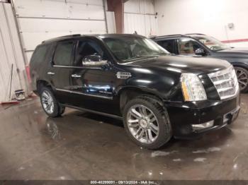  Salvage Cadillac Escalade