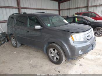  Salvage Honda Pilot