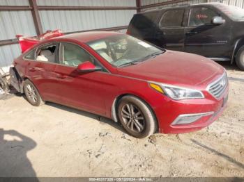  Salvage Hyundai SONATA