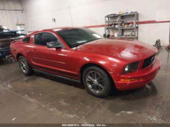  Salvage Ford Mustang