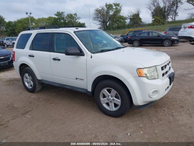  Salvage Ford Escape