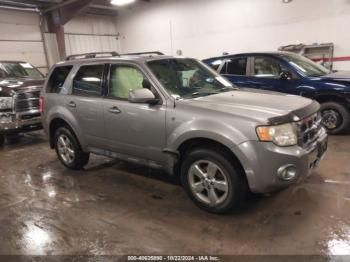  Salvage Ford Escape