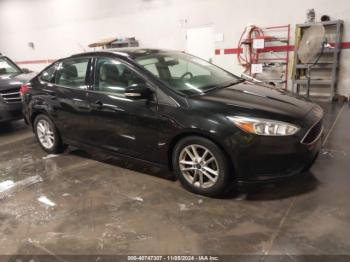  Salvage Ford Focus