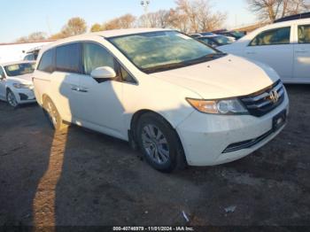  Salvage Honda Odyssey