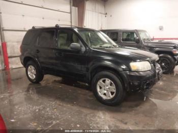  Salvage Ford Escape