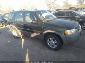  Salvage Ford Escape