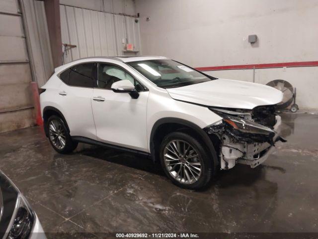  Salvage Lexus NX