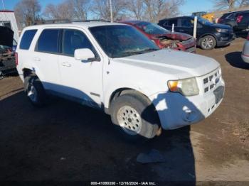  Salvage Ford Escape