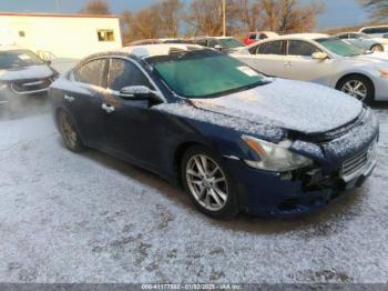  Salvage Nissan Maxima