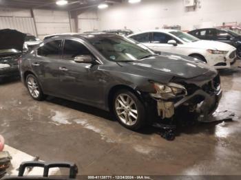  Salvage Nissan Maxima