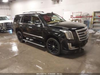  Salvage Cadillac Escalade