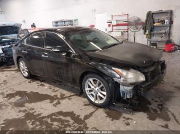  Salvage Nissan Maxima