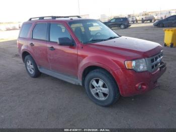  Salvage Ford Escape