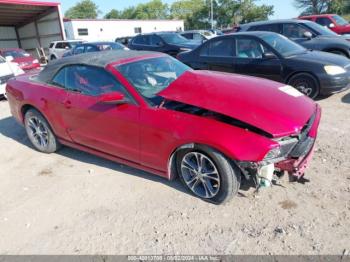  Salvage Ford Mustang