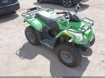  Salvage Artic Cat 500