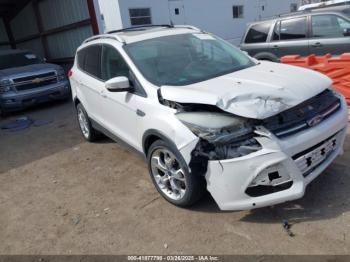  Salvage Ford Escape