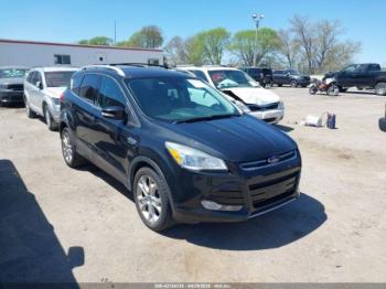  Salvage Ford Escape