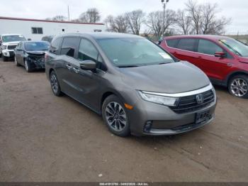  Salvage Honda Odyssey