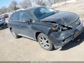  Salvage Lexus RX