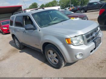  Salvage Ford Escape