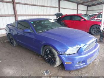  Salvage Ford Mustang