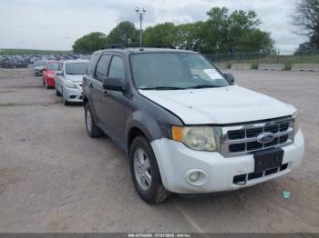  Salvage Ford Escape