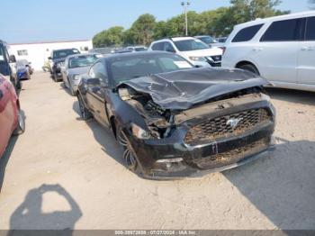  Salvage Ford Mustang