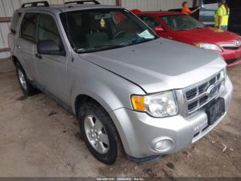  Salvage Ford Escape