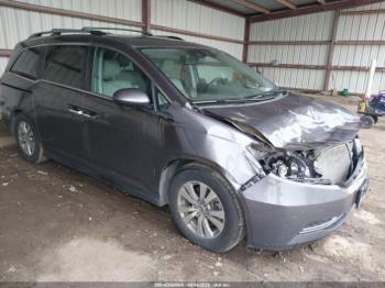  Salvage Honda Odyssey