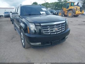  Salvage Cadillac Escalade