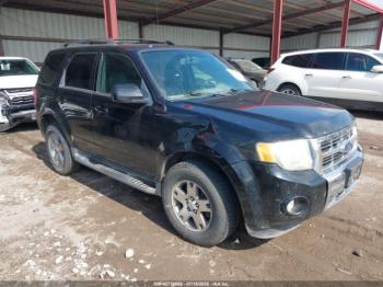  Salvage Ford Escape