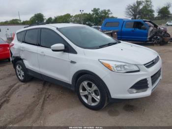  Salvage Ford Escape