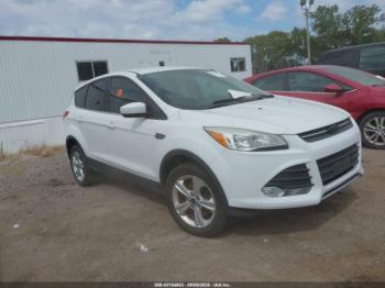 Salvage Ford Escape