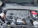 Dodge Hornet Image 6