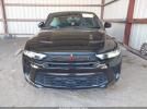 Dodge Hornet Image 11