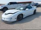 Pontiac Firebird Trans Am Image 2