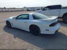 Pontiac Firebird Trans Am Image 3