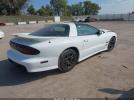Pontiac Firebird Trans Am Image 4
