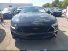 Ford Mustang Gt Premium Fastback Image 10