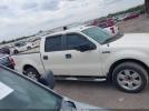Ford F-150 Image 2