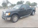 Ford F-150 Image 3