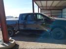 Chevrolet Silverado 1500 4wd  Short Bed Custom Trail Boss Image 12