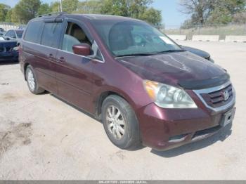  Salvage Honda Odyssey