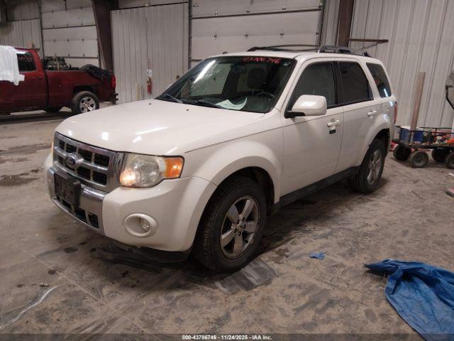 Ford Escape Limited Image 7