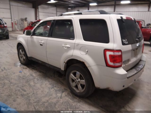 Ford Escape Limited Image 3