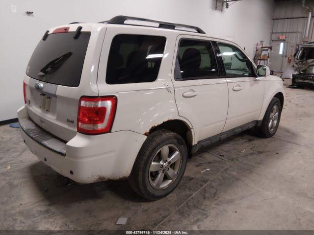 Ford Escape Limited Image 2